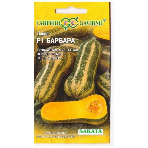 ������ ������ ������ ����� ������� F1 ��������� 5�� ������ (������) ����