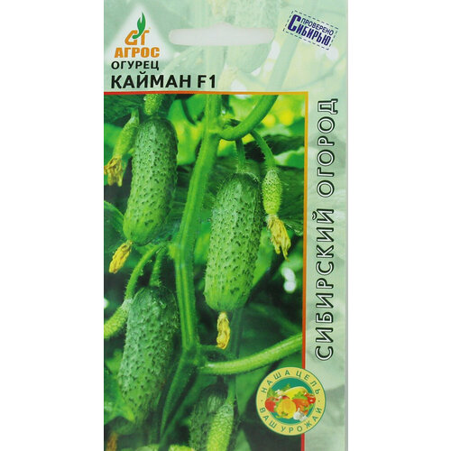 ������ ������ ������ ������ ������ 8�� ������������������ ������ (�����) ����