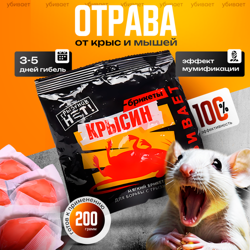 ������ ������ �������� �� ����� � ���� �������� 