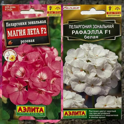 ������ ������ ������ ����������� ������ ��� ���� � ���� ���������� ������ ����� ���� � ��������. 2 ��. ����