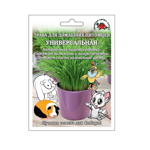 ������ ������ ������ ����� ��� �������� ������������� 20� (������� ����� �����) ����