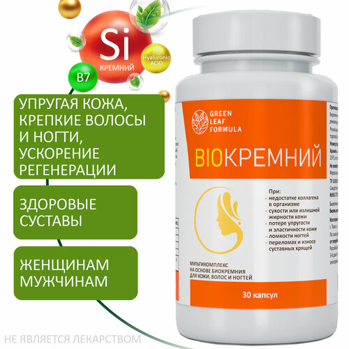 ������ ������ ����������, ������� �������� ��� ����, ����� � ������, ��� �������� ����