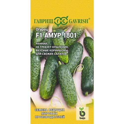 ������ ������ ������ ������ ���� 1801 F1 5�� ������������������ (������) ����