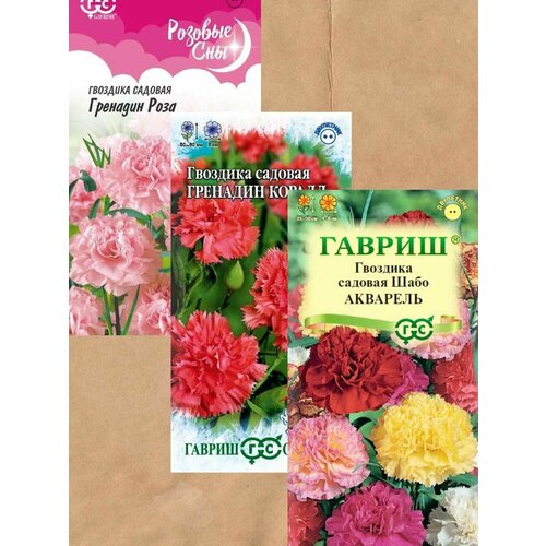 ������ ������ ������ �������� ������� 