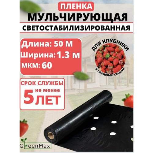 ������ ������ ������ ������������ ��� �������� ����