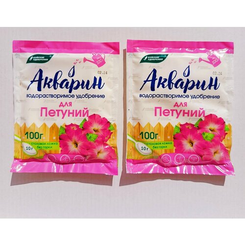 ������ ������ ������� ��� ������� ���������������, 2*100� ����