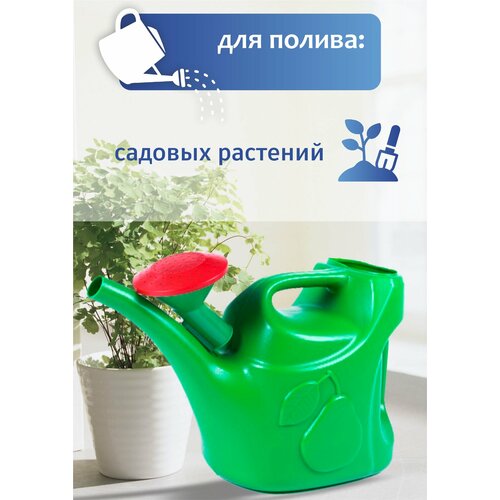 ������ ������ ����� 6,0� � ������������� ��������� ����