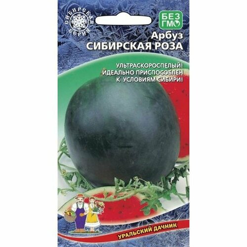 ������ ������ ������ ����� ��������� ���� 10�� ����