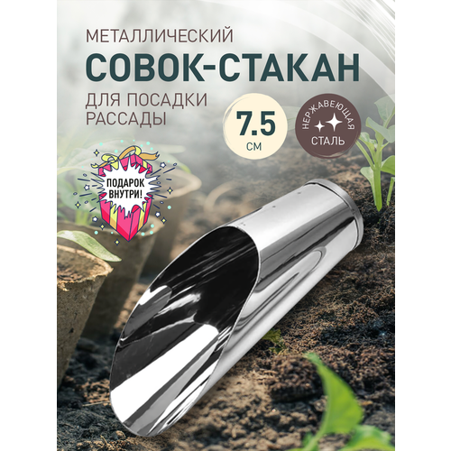 ������ ������ ����� ��� ������ iulkapu ����