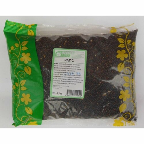 ������ ������ ������ ���� 1�� ������� ����