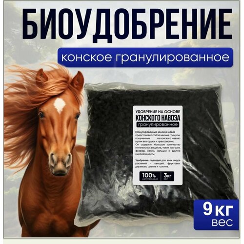 ������ ������ ������������ ��������������� (������� �����) 9 �� ����