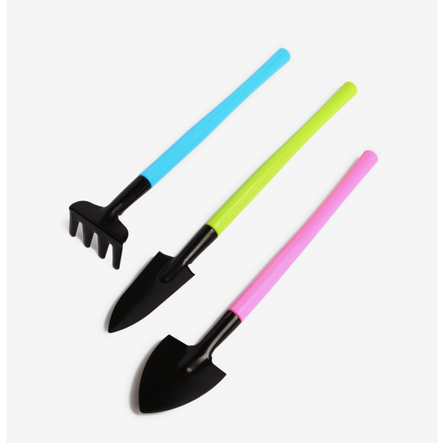 ������ ������ ����� �������� �����������, 3 ��������: ������, 2 �������, ����� 21 ��, ����������� ����� ����