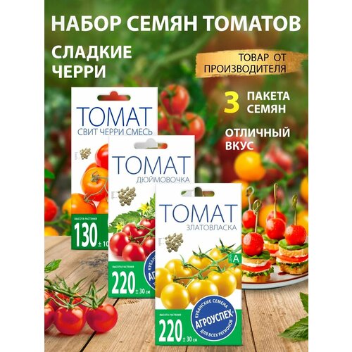 ������ ������ ������ ������� ����� ����� ����