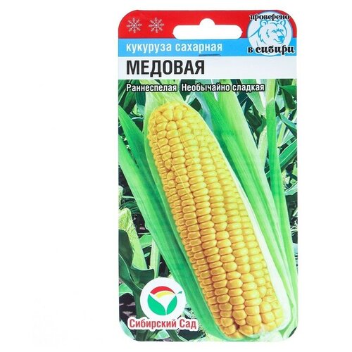 ������ ������ ������ �������� 