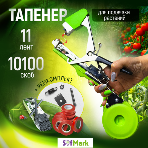 ������ ������ ������� ��� ������ �������� ��������, 11 ����, 10000 ���� ����