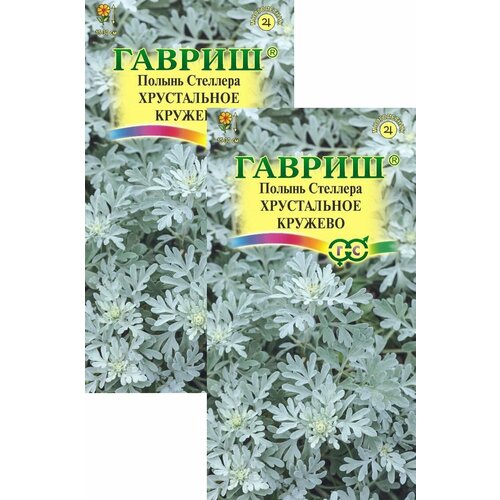 ������ ������ ������ �������� ����������� ������� (0,05 �), 2 ������ ����