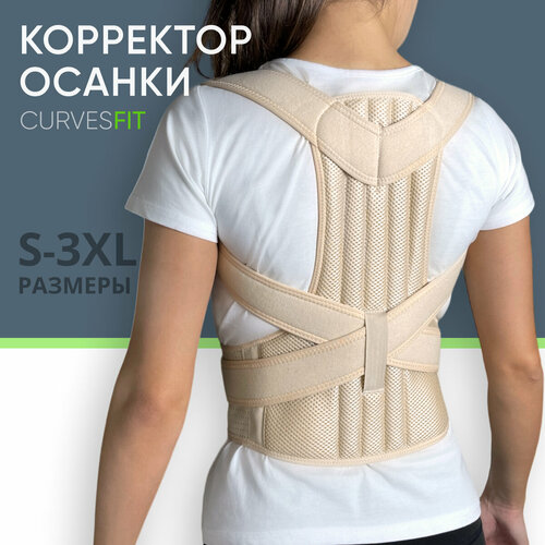 ������ ������ ��������� ������ ��� ����� ��������������, ���. (�� 65-80 ��) ����