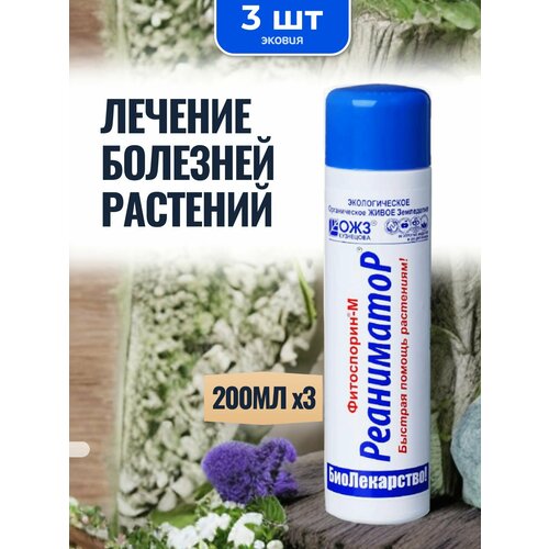 ������ ������ ��������� ���������� � ���������� 3 �� ����