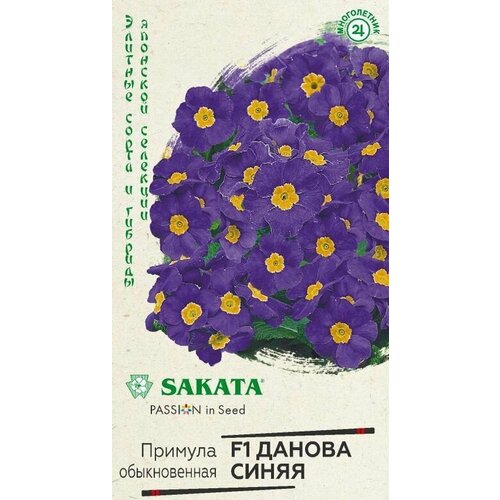 ������ ������ ������� ������ ����� F1 ����