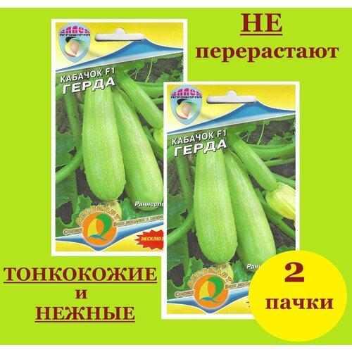 ������ ������ ������� �������� ������ ����� (2 ��������*5 �� �����) ����