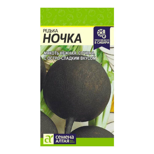 ������ ������ ������ ������ ����� 1� �������� (������ �����) ����