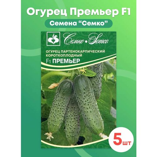 ������ ������ ������ ������ 