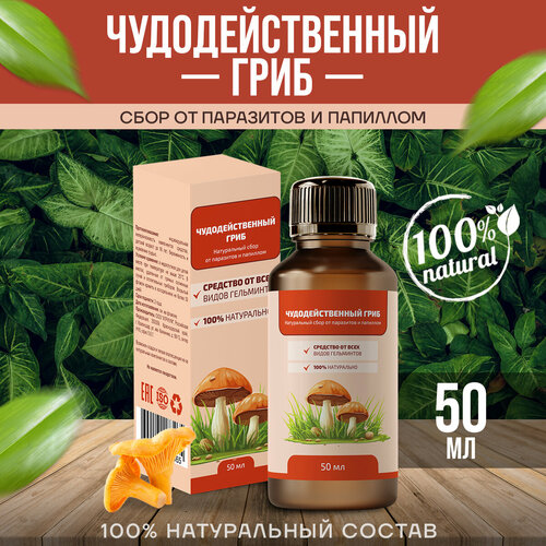 ������ ������ ��������������� ���� �� ��������� � �������� ������ 50 �� ����