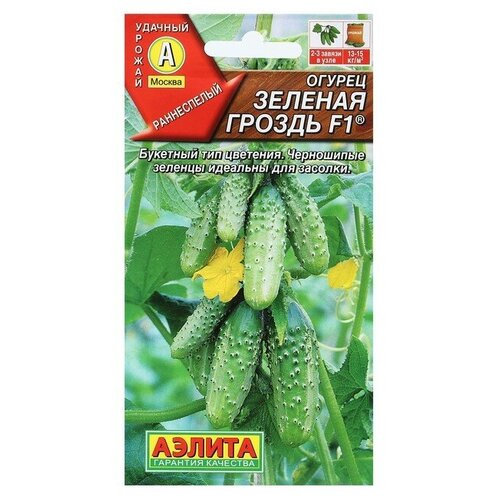 ������ ������ ������ ������ 