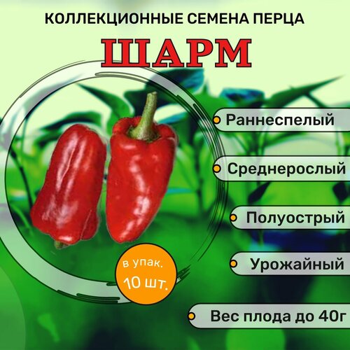 ������ ������ ������������� ������ ����� ������� ���� ����