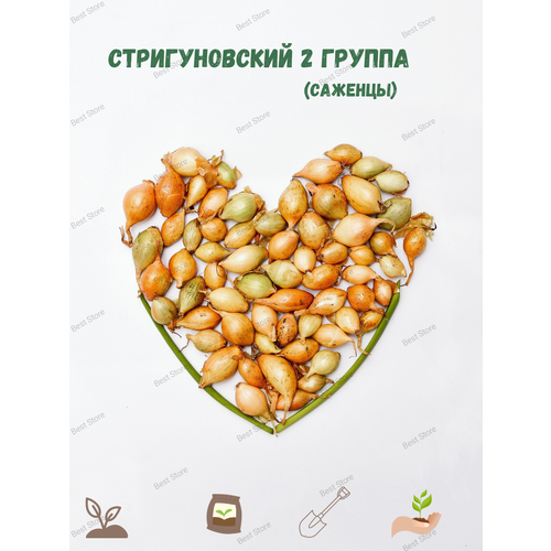 ������ ������ ���-����� ������������� 2 ������ ����