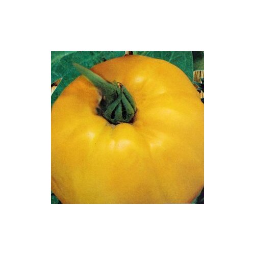 ������ ������ ������ ����� �������� 20 ��. ����