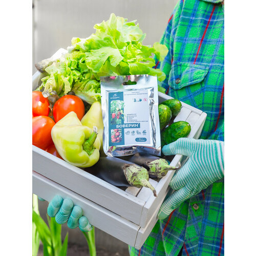 ������ ������ ����������� ������� �� ��������� ���������� �� ������� 50 � ����