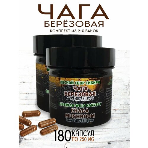 ������ ������ ���� � �������� ��������� ��������� 180 ������ �� 0,25 � �� ���� ��� ����