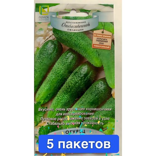 ������ ������ ������ ������ ����� 