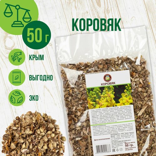 ������ ������ ������� �����, 50�� ����