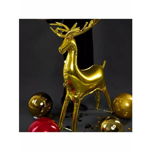 ������ ������ ��� ����� ������� / 122