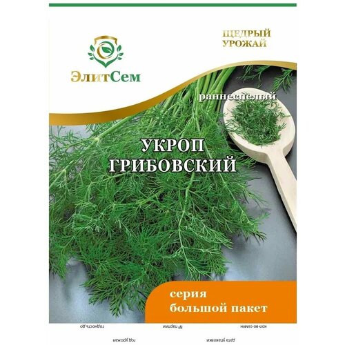 ������ ������ ������ ����� ���������� BIG �������� XXXL 10 � (�������) ����