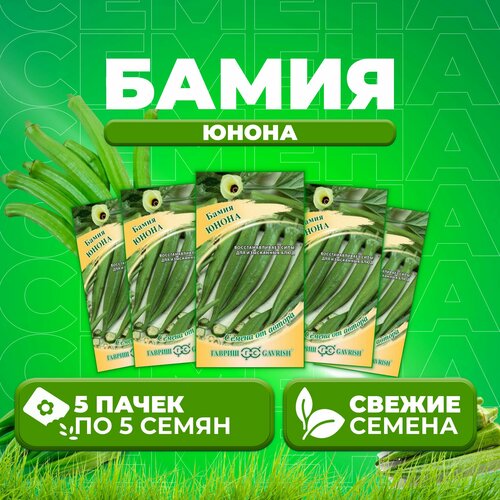 ������ ������ ����� (����) �����, 5��, ������, �� ������ (5 ��) ����