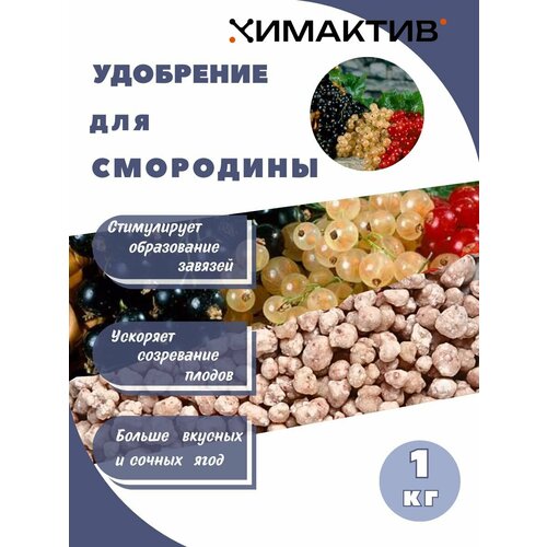 ������ ������ ��������� ��� ��������� 1�� �������� � ����