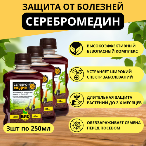 ������ ������ ������������ ����