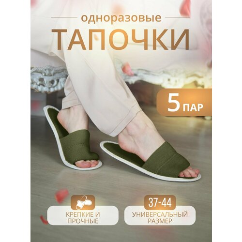 ������ ������ ������� ����������� �������� ������� � �������� ����� 5 ��. ����