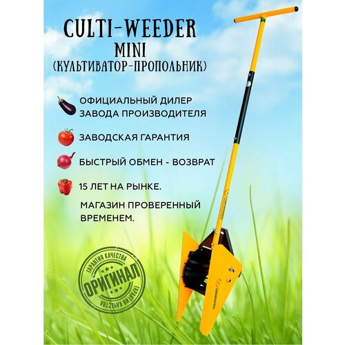 ������ ������ ������� ��������� ���� ��������� (������������ ������) ����