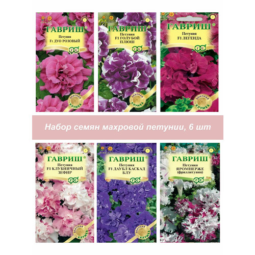 ������ ������ ������ ������ ������� �������� ����