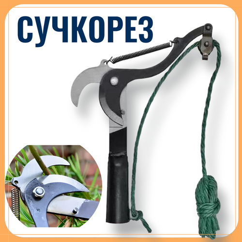 ������ ������ �������� � �������� ����