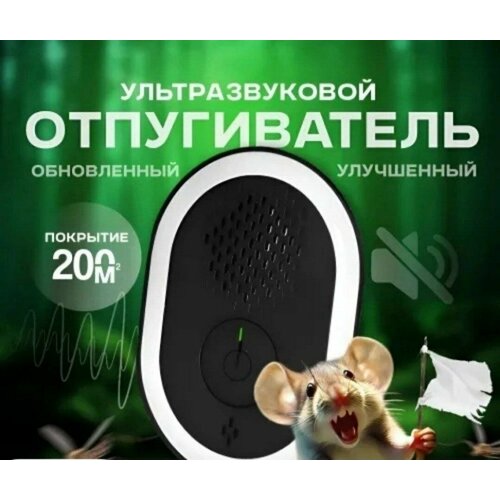 ������ ������ ���������������� ������������ ����� � ��������� ����