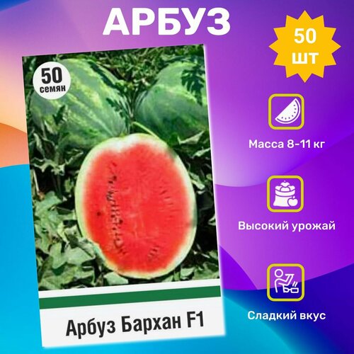 ������ ������ ������ ����� ������ F1 50 ��. ���������� �������� ����