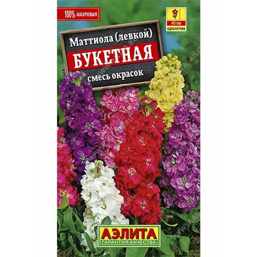 ������ ������ �������� 