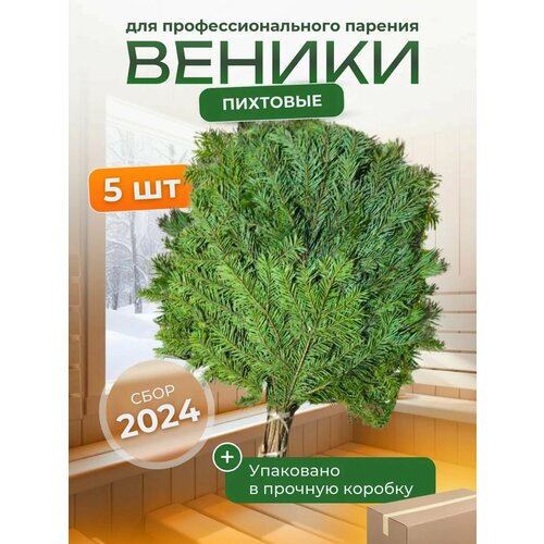 ������ ������ �������� ������ ������, 5�� ����