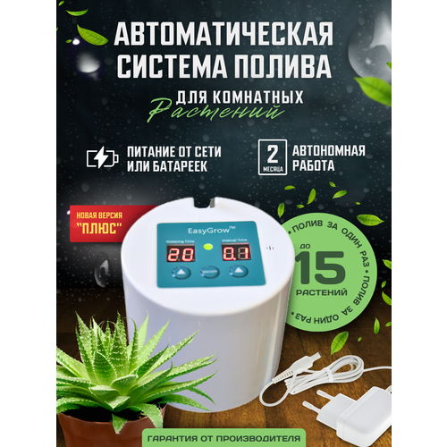 ������ ������ ��������� ��� ��������� �������� �� 15 ��������� �� ���� � �������� � ��������, ��������� ����� ��� �������� ������ ����