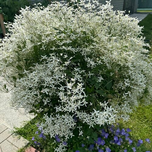 ������ ������ ������ ������ ������� ������������� 50 ��. ����